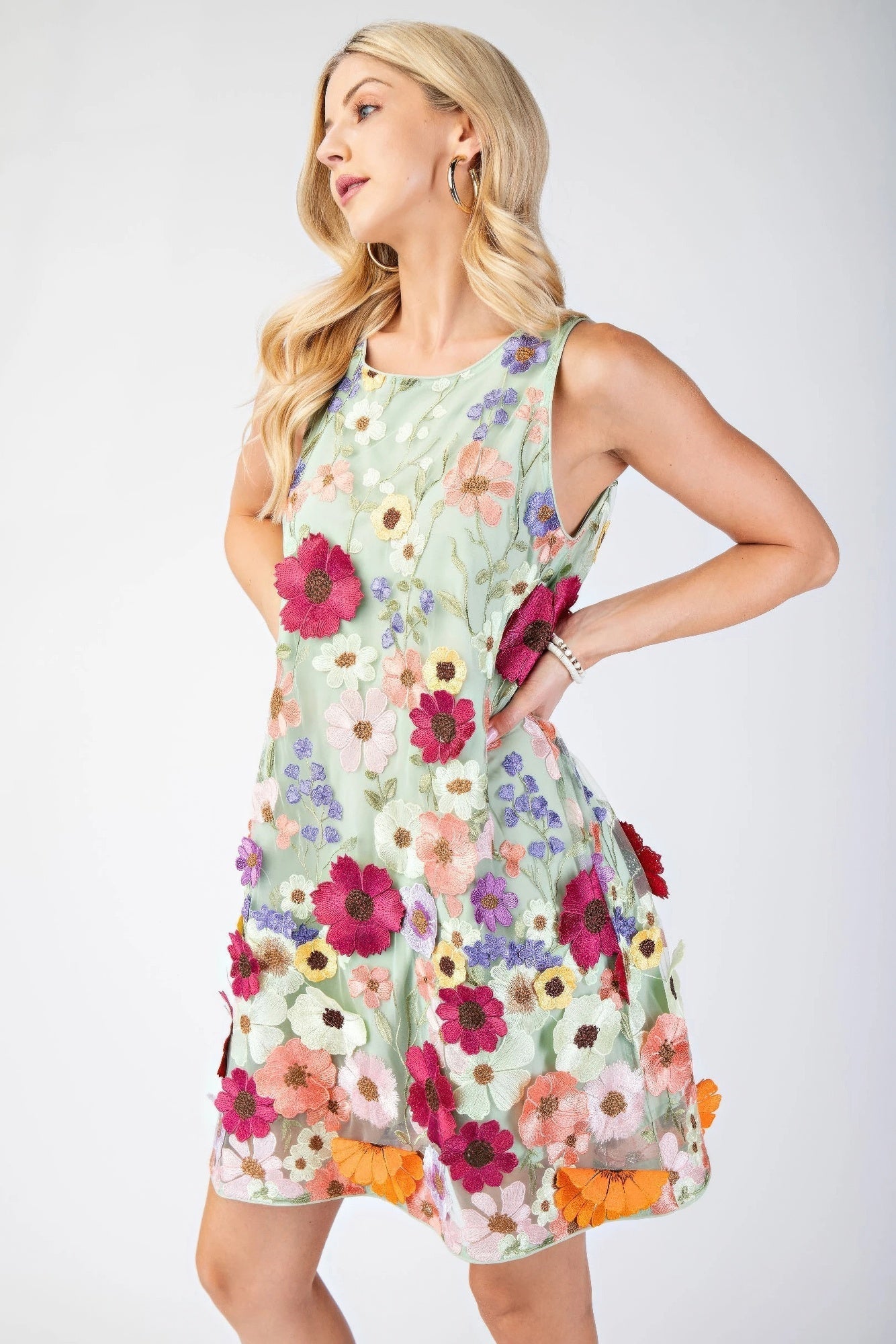 3d Floral Embroidered Sleeveless Mini Dress