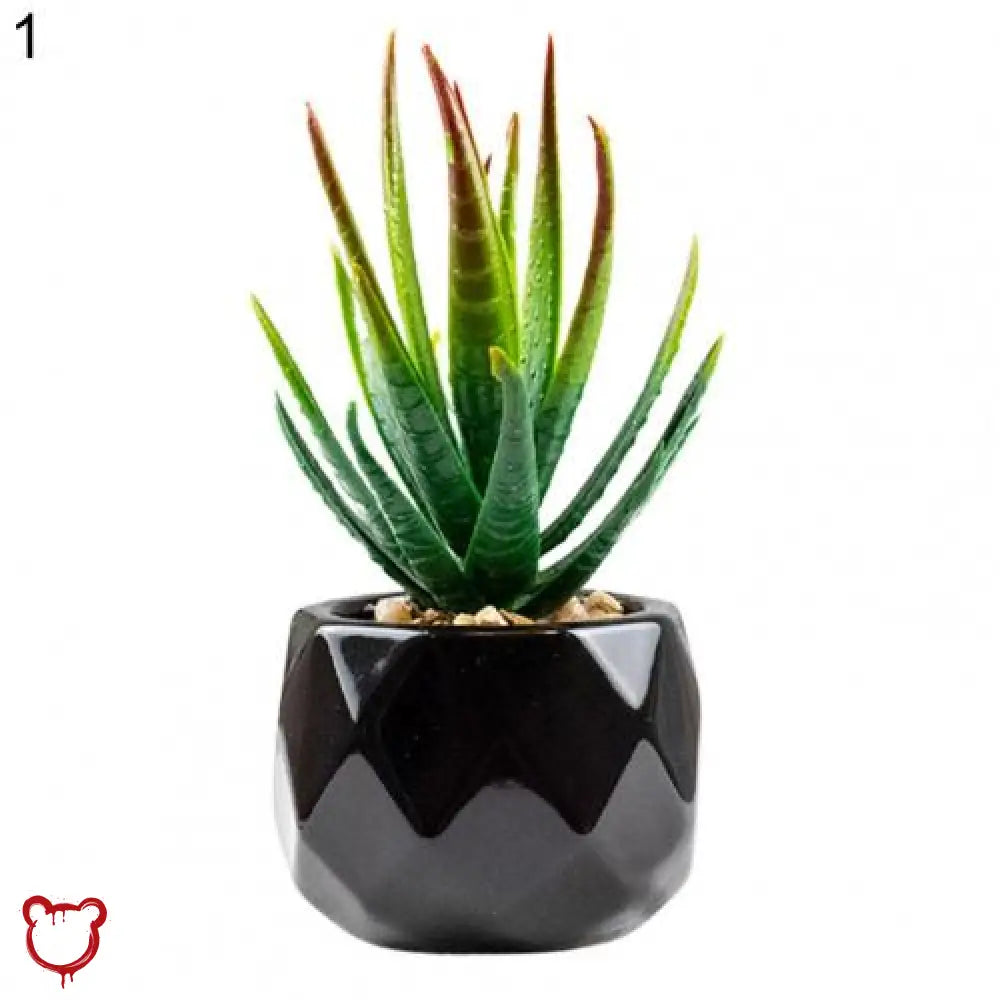 Black Pot Succulent in 11 Designs