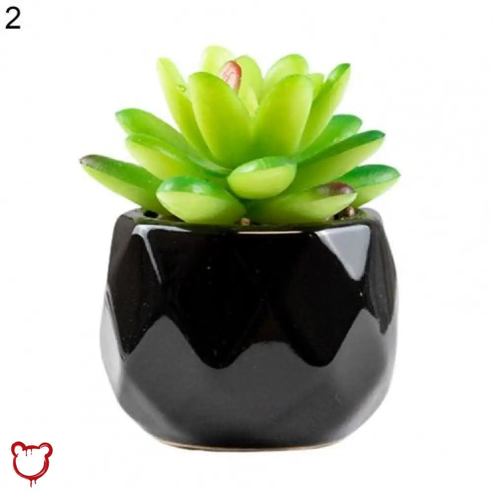 Black Pot Succulent in 11 Designs