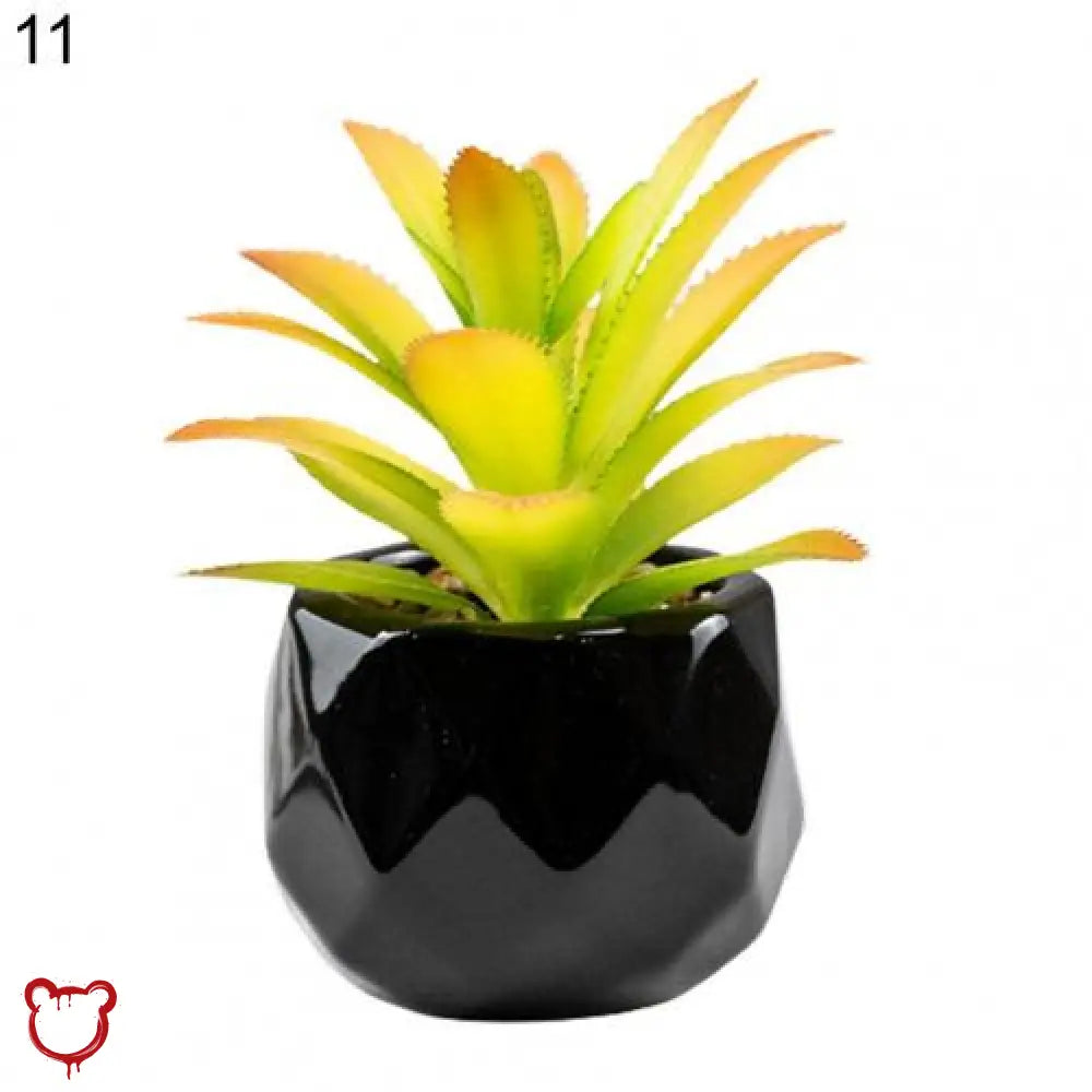 Black Pot Succulent in 11 Designs
