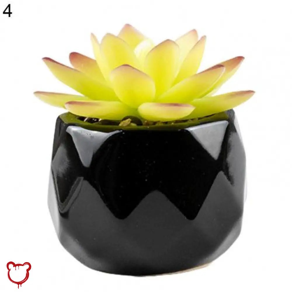 Black Pot Succulent in 11 Designs