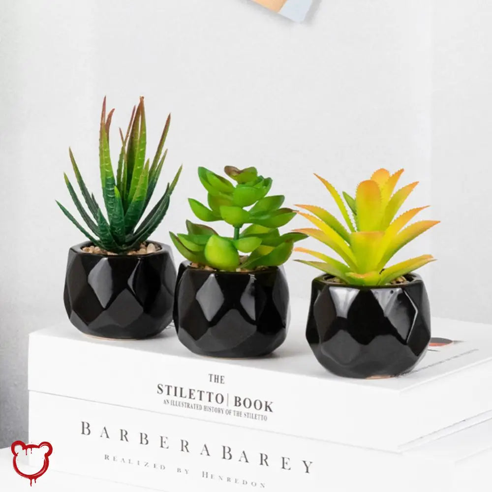 Black Pot Succulent in 11 Designs