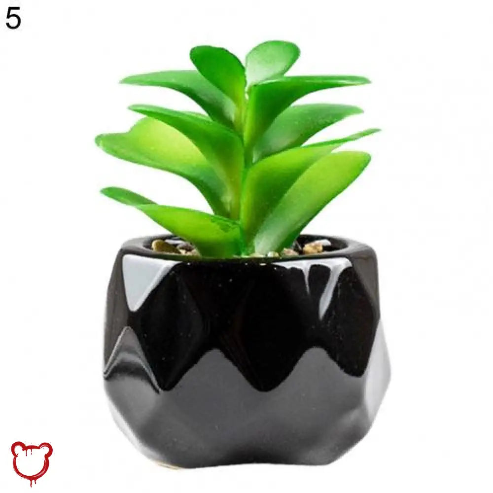 Black Pot Succulent in 11 Designs
