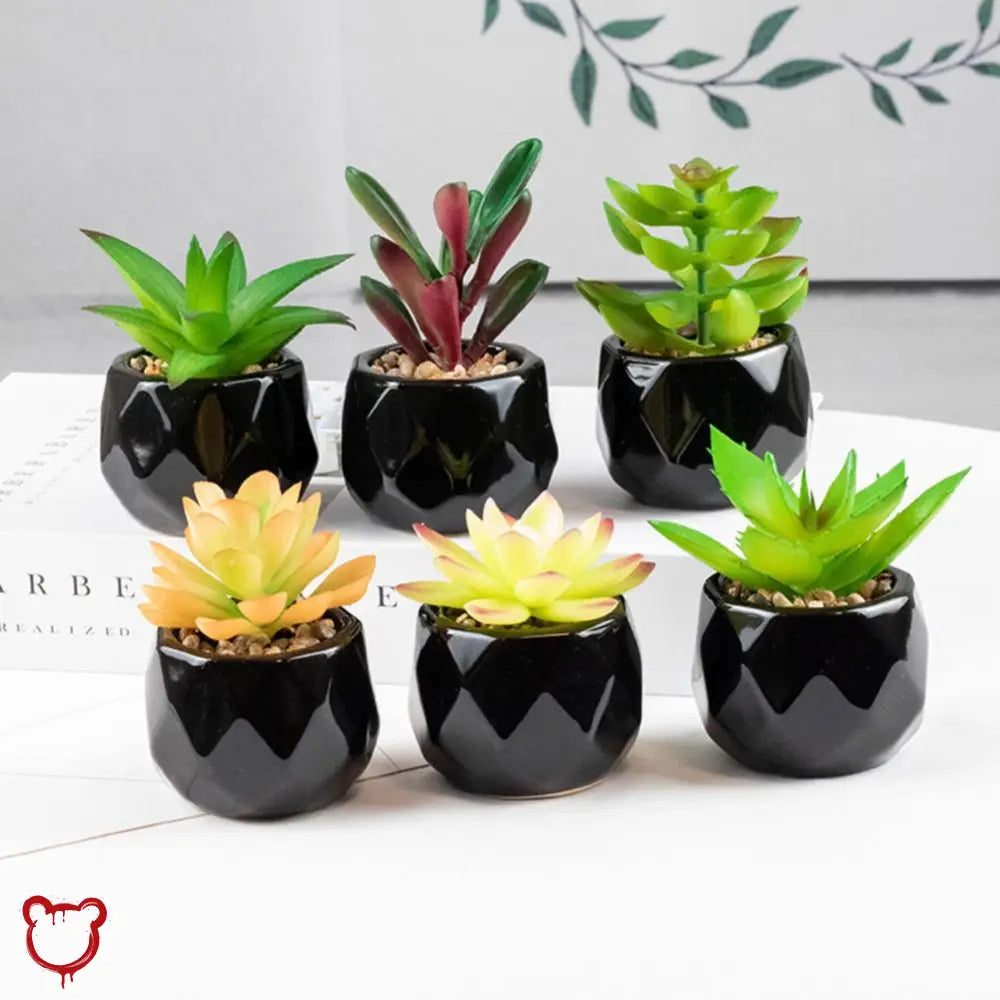 Black Pot Succulent in 11 Designs