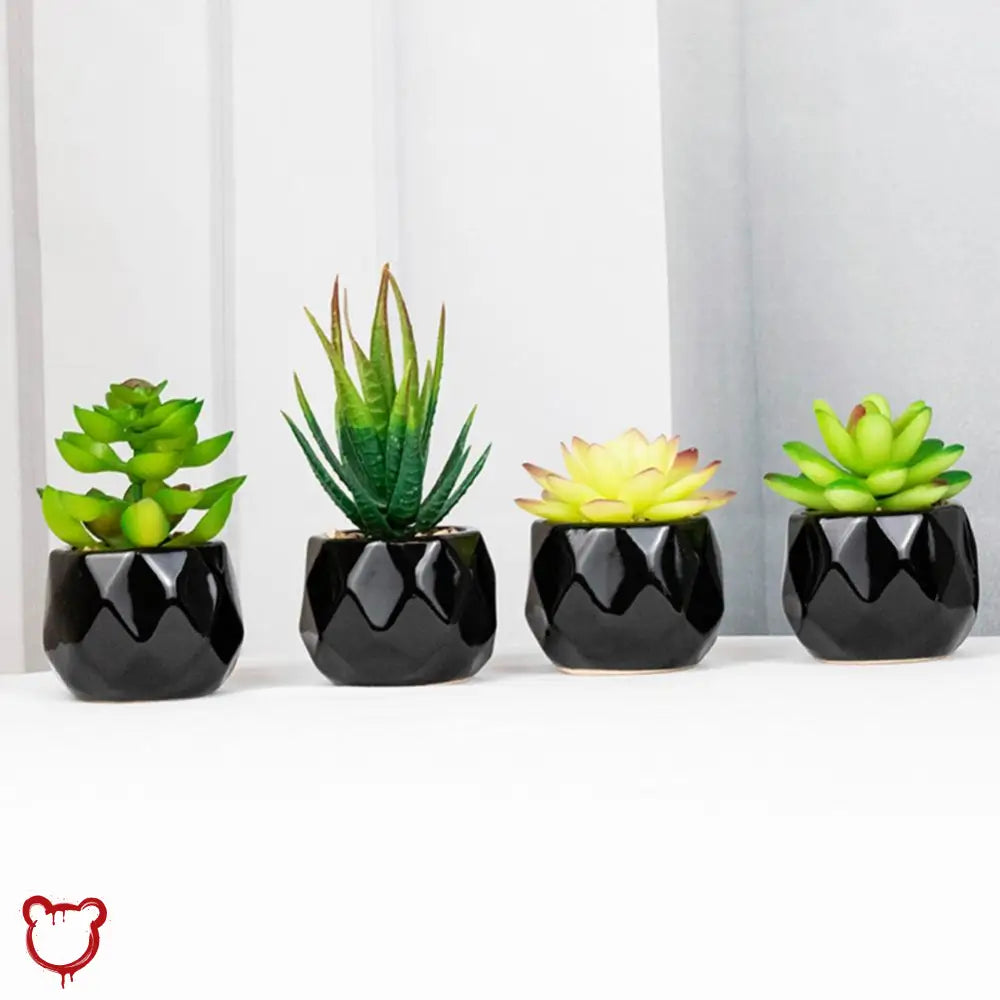 Black Pot Succulent in 11 Designs