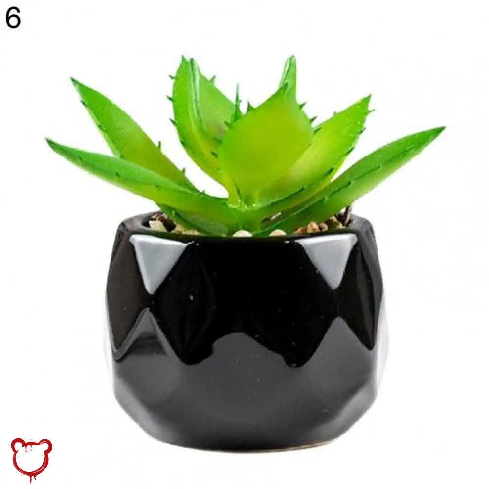 Black Pot Succulent in 11 Designs